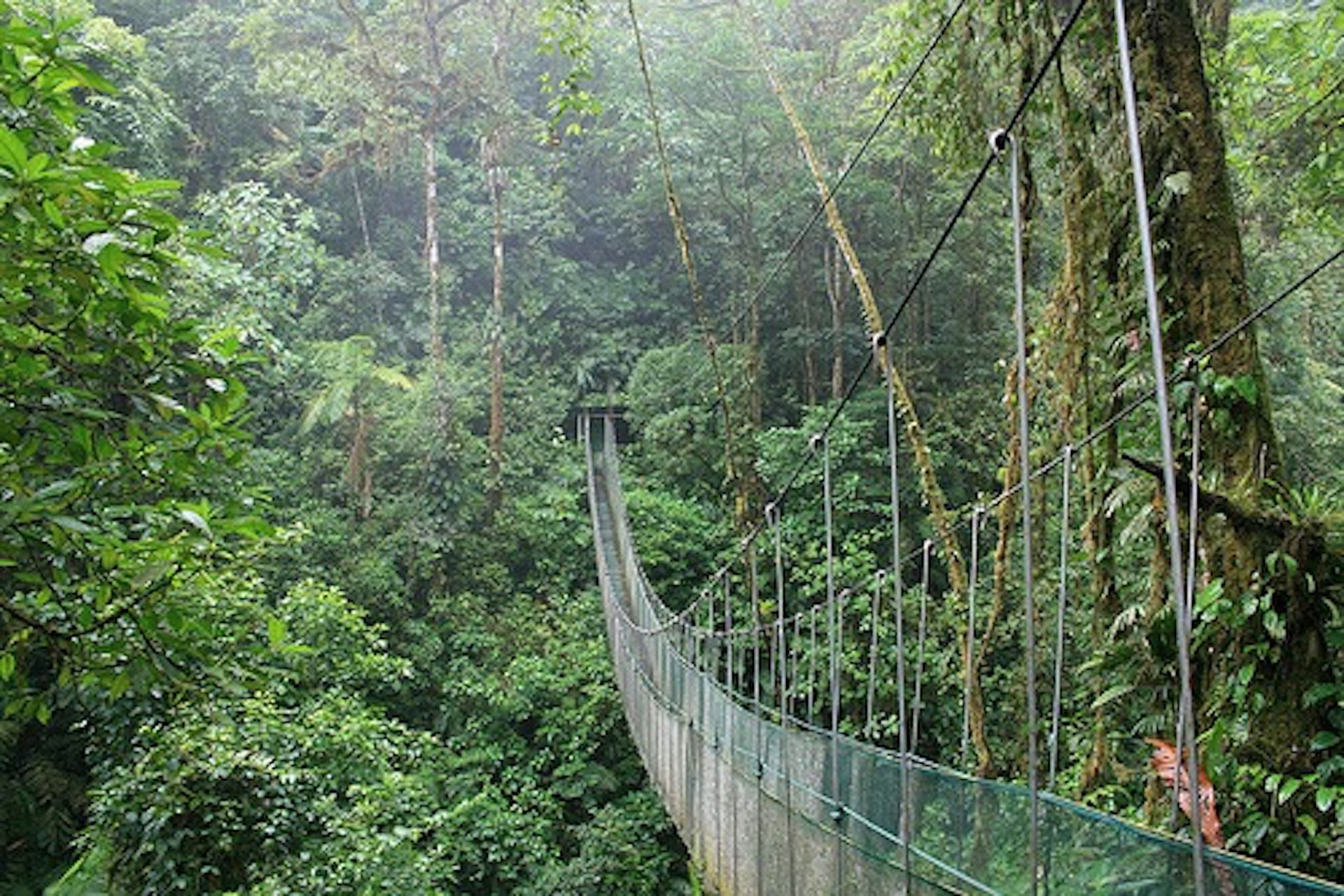 Voyage Nature au Costa Rica 7